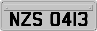 NZS0413