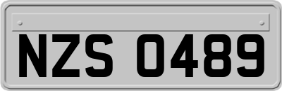 NZS0489