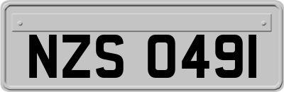 NZS0491