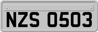 NZS0503
