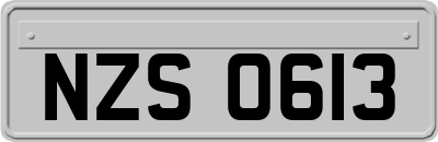 NZS0613