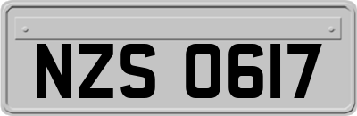 NZS0617