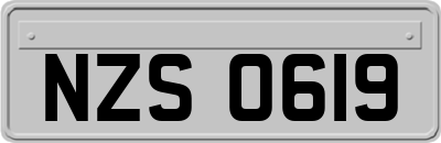 NZS0619