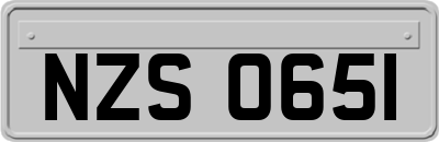 NZS0651