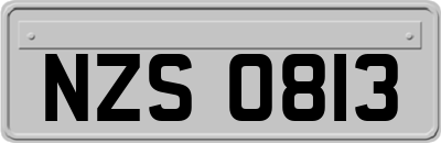 NZS0813