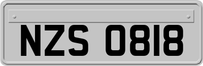 NZS0818