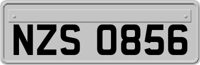 NZS0856