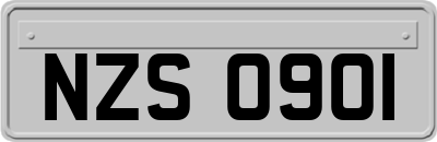 NZS0901