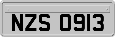 NZS0913