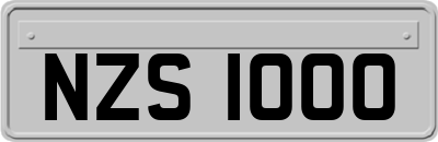 NZS1000