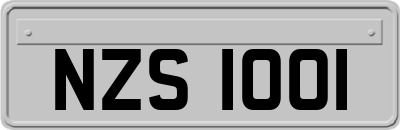 NZS1001