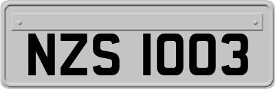 NZS1003