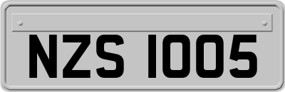 NZS1005