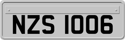 NZS1006