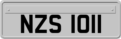 NZS1011