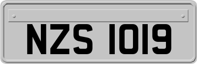 NZS1019