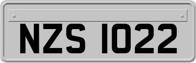 NZS1022
