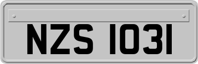 NZS1031