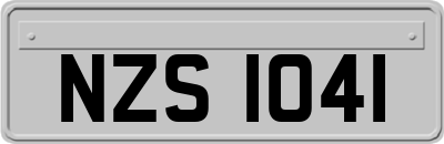 NZS1041
