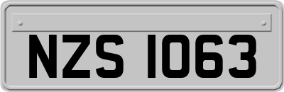 NZS1063