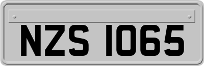 NZS1065