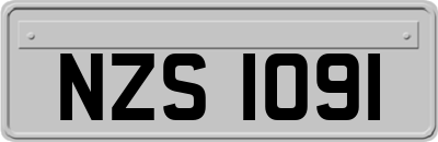 NZS1091