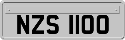 NZS1100