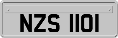 NZS1101