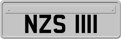 NZS1111