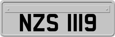 NZS1119