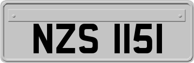 NZS1151
