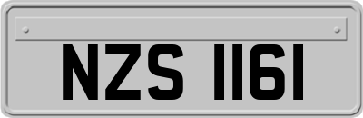 NZS1161