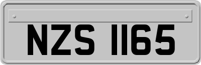 NZS1165