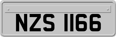 NZS1166