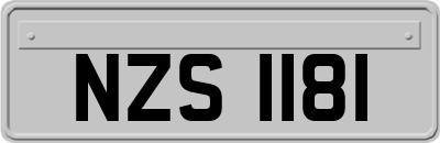 NZS1181