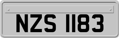 NZS1183