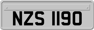 NZS1190