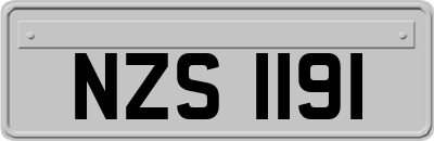 NZS1191