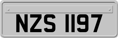 NZS1197