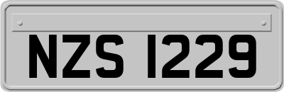 NZS1229