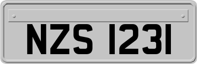NZS1231
