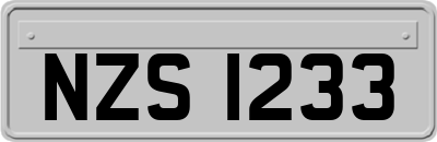 NZS1233