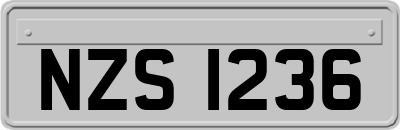 NZS1236