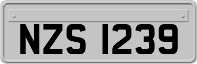 NZS1239