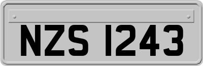 NZS1243