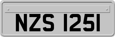 NZS1251