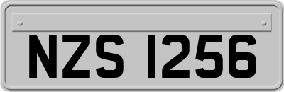 NZS1256