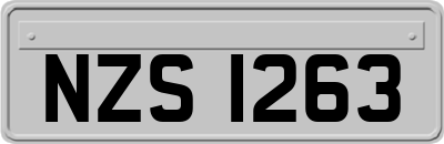 NZS1263