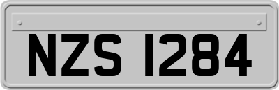 NZS1284