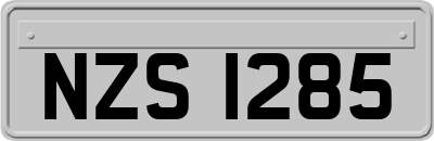 NZS1285